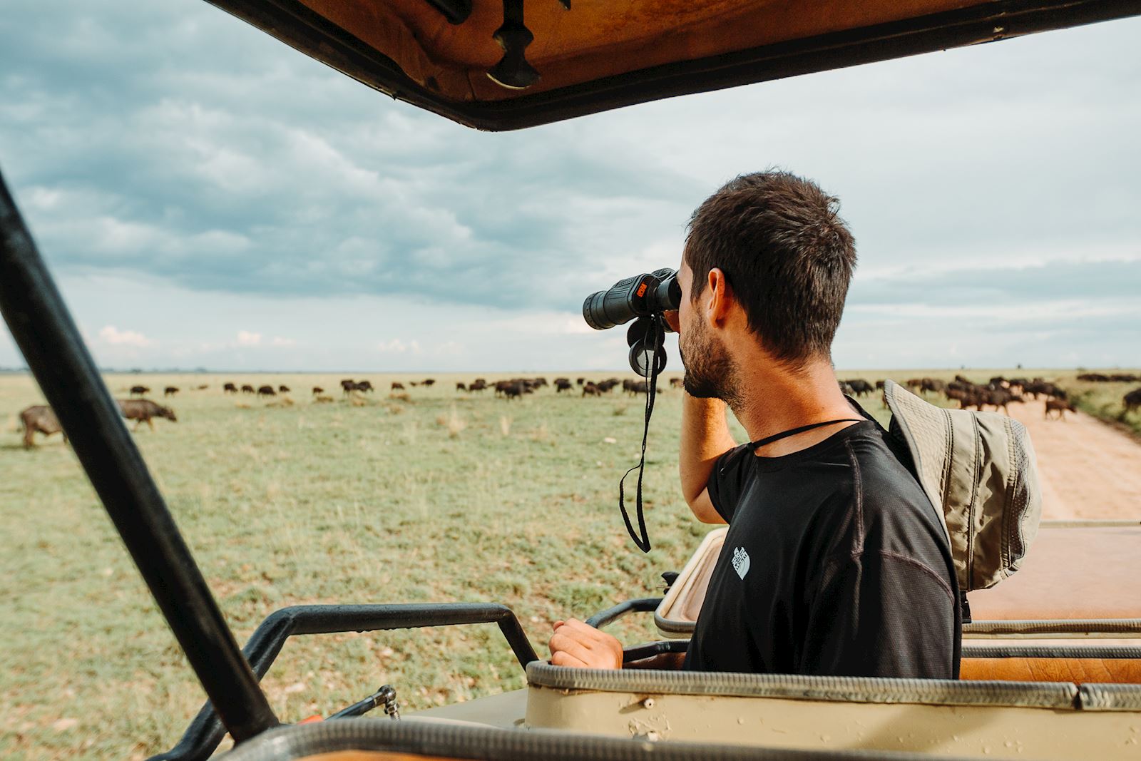 אוהד מסתכל על חיות בספארי