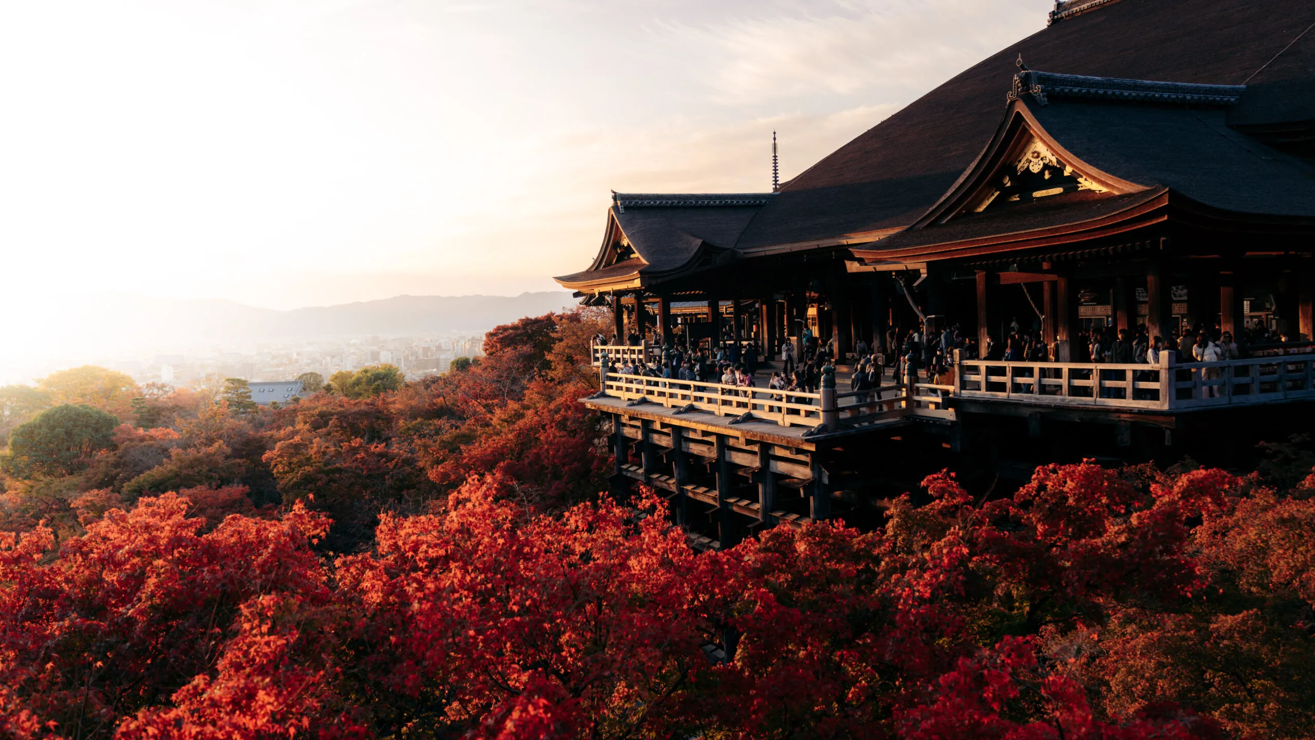 נוף מקדש ביפן בסתיו 