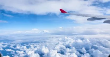 נוף ממטוס בדרך לרילוקיישן